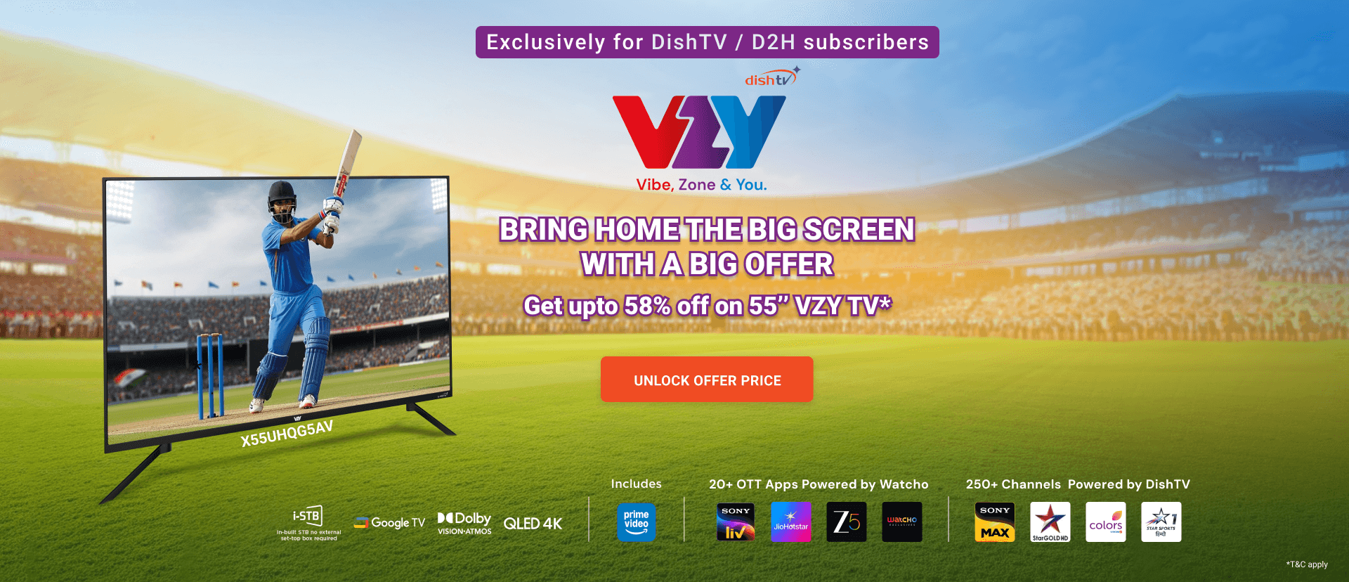 VZY Television