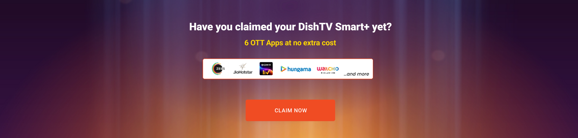 Promotional Banner