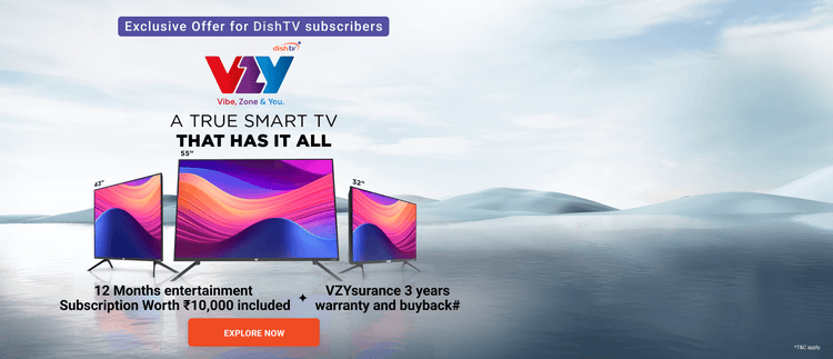 VZY Television