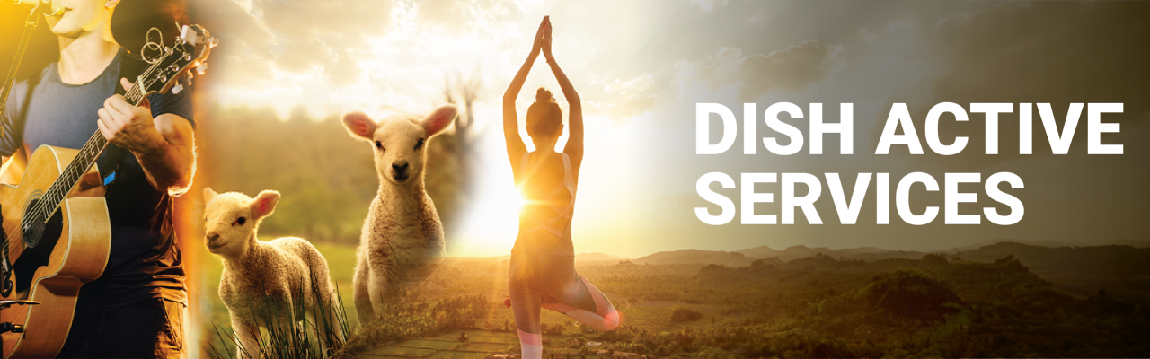 DishTV Banner image
